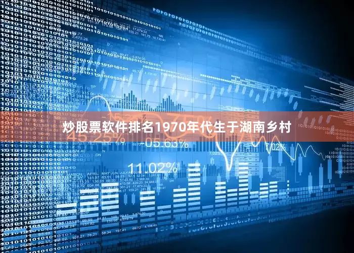炒股票软件排名1970年代生于湖南乡村