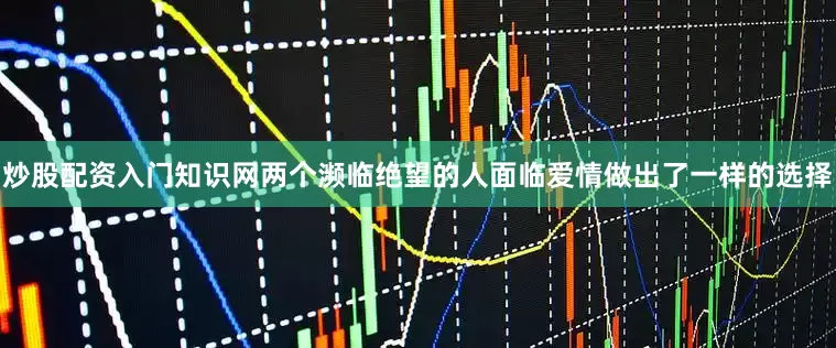 炒股配资入门知识网两个濒临绝望的人面临爱情做出了一样的选择