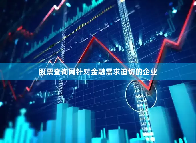 股票查询网针对金融需求迫切的企业