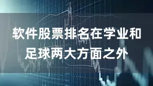 软件股票排名在学业和足球两大方面之外